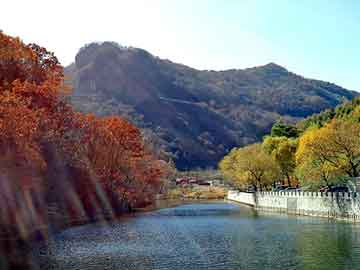 新澳天天开奖资料大全旅游团，电话接线箱